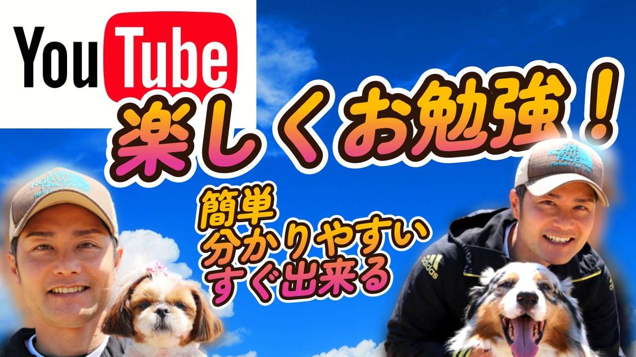 あなたは愛犬と楽しんでいますか？愛犬と楽しくしつけをしたいなら、大阪府堺市にあるドッグトレーニングスクール『いぬの学校あさか』へ。是非、ご相談を！