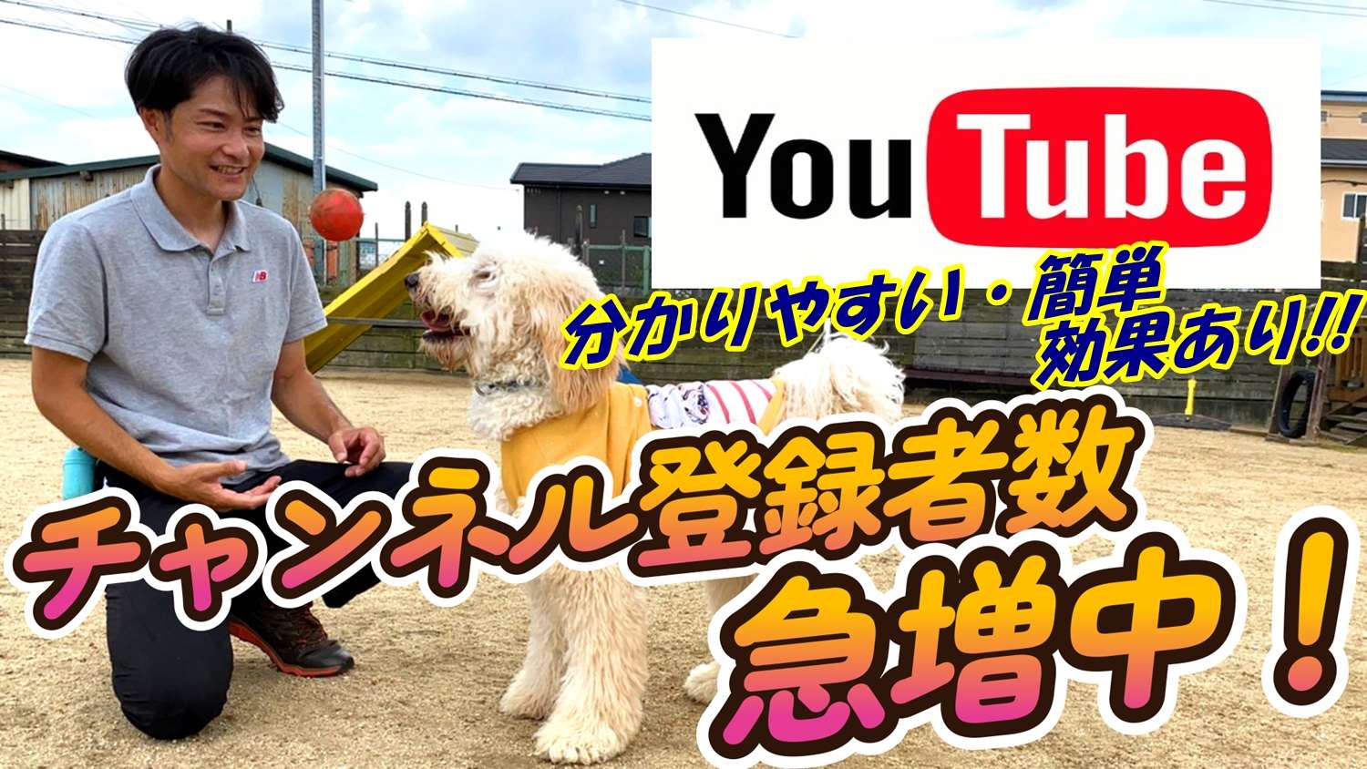 大阪堺のしつけ教室、ドッグトレーニングスクールと言えば『いぬの学校あさか』　20年、2000頭以上の実績！あなたと愛犬に合ったトレーニングを学びを提供します。